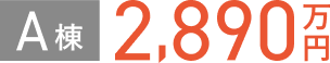 A棟 2,890万円